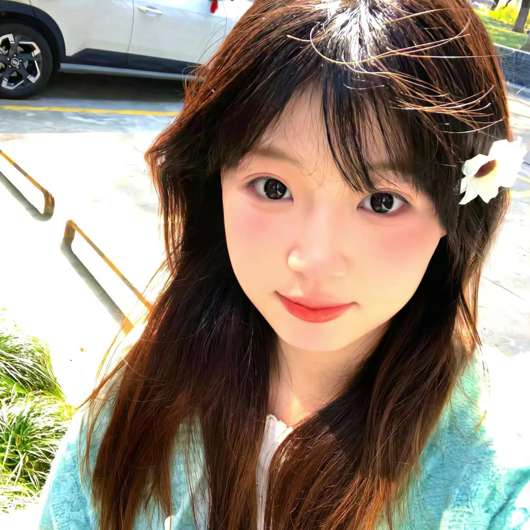 新蝶恋花